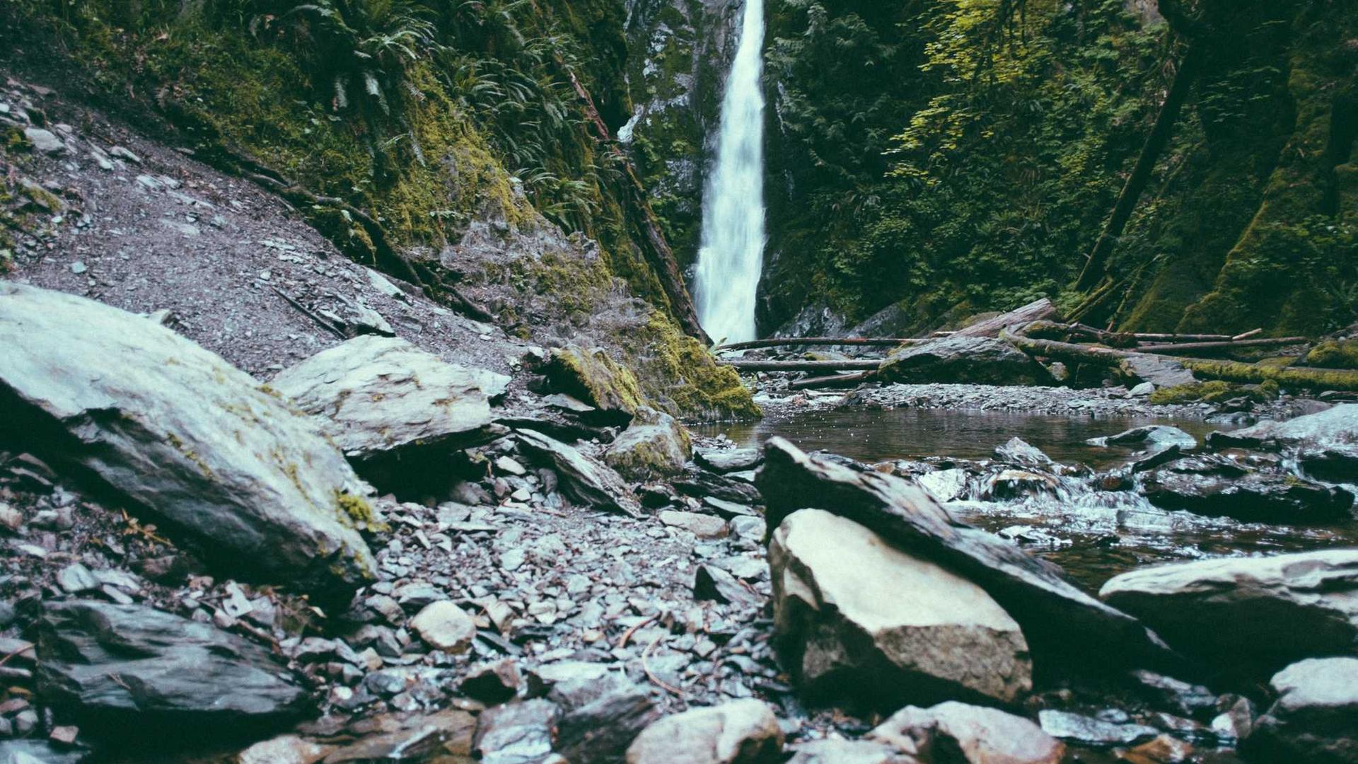 Porträt von Володимир Василишин, der im Живопис, Графіка, Фотографія-Stil arbeitet (Krotoshyn, Ukraine) Foto 1 von 4.
