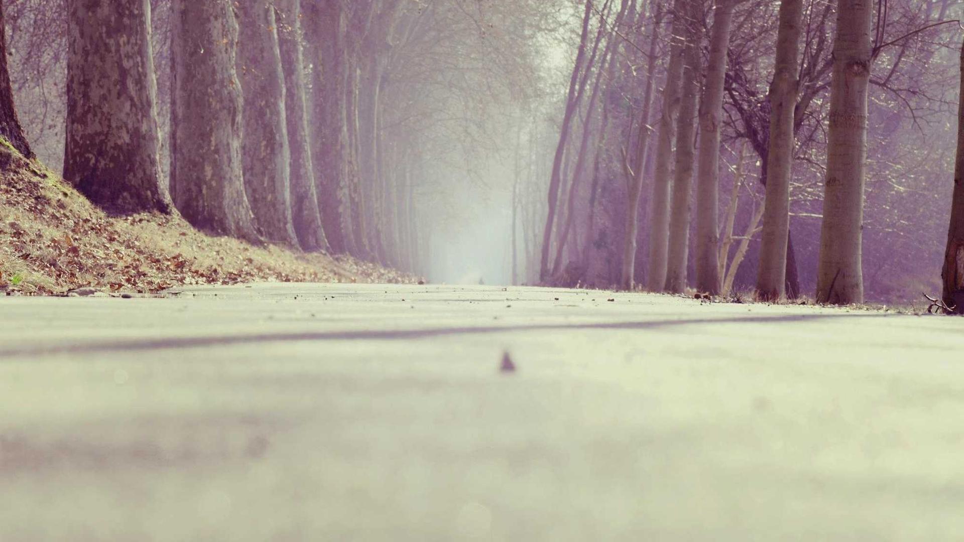 Porträt von Володимир Василишин, der im Живопис, Графіка, Фотографія-Stil arbeitet (Krotoshyn, Ukraine) Foto 4 von 4.