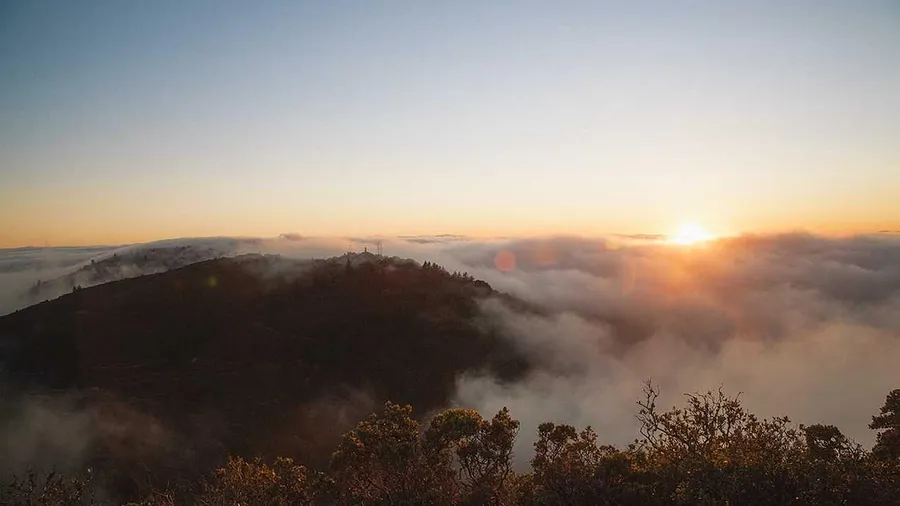 Bild von Нове von Володимир Василишин, Größe: 100х120см, Роботи на склі Medium, zum Preis von $1900