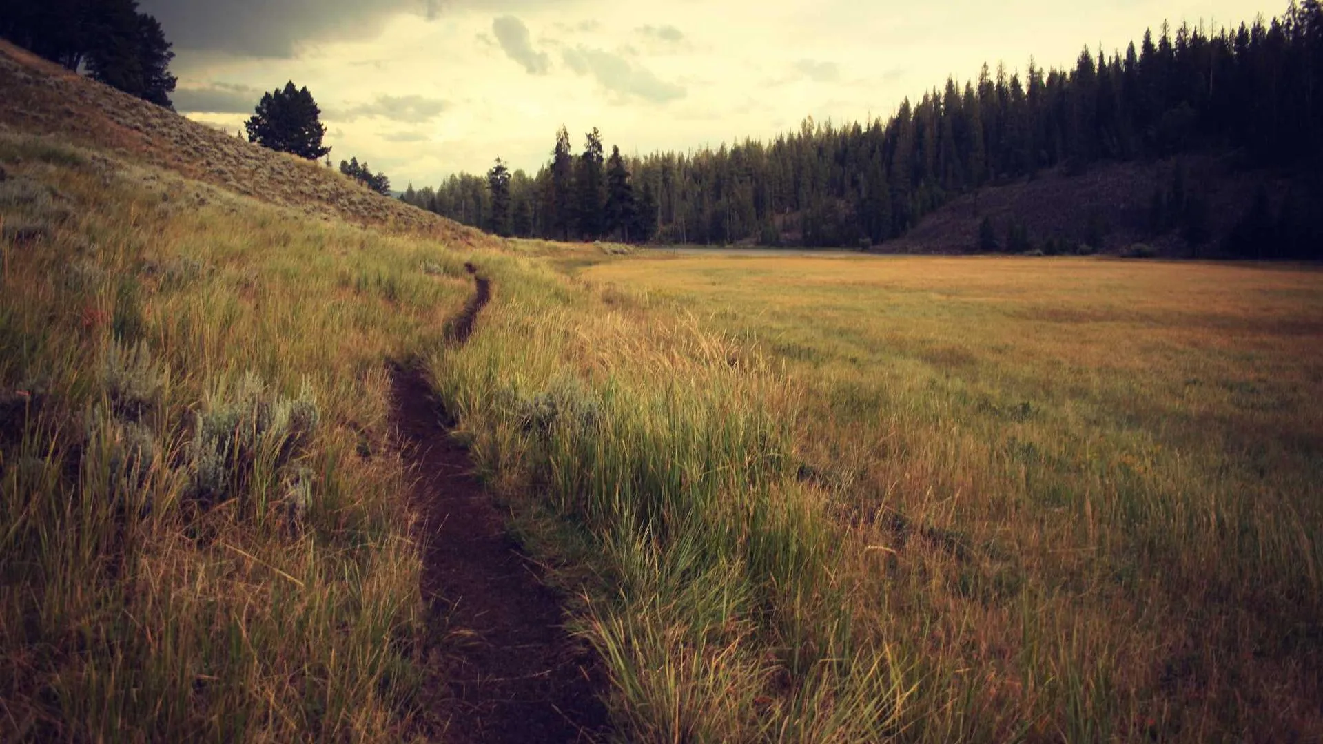 Bild von Untitled von Володимир Василишин, Größe: 100х120см, Роботи на склі Medium, zum Preis von $1900