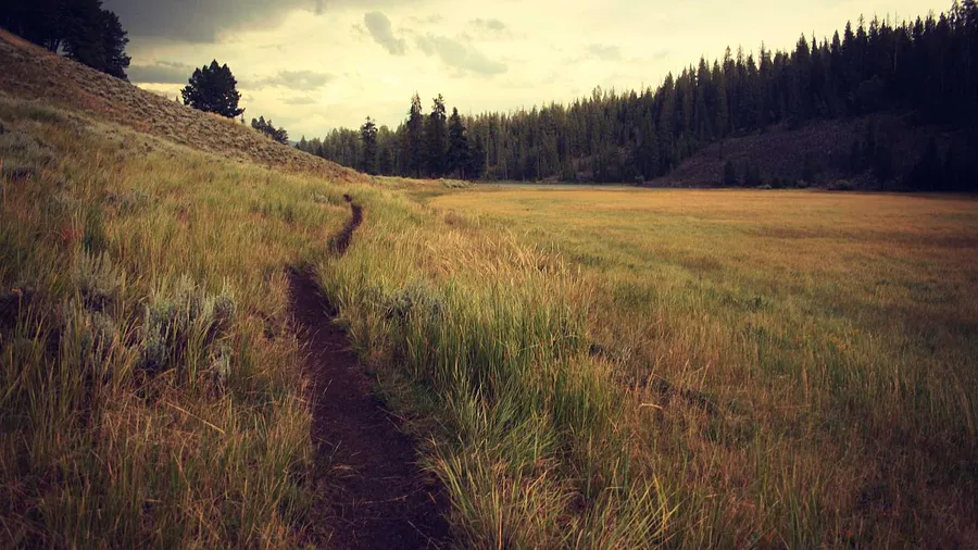 Bild von Untitled von Володимир Василишин, Größe: 100х120см, Роботи на склі Medium, zum Preis von $1900